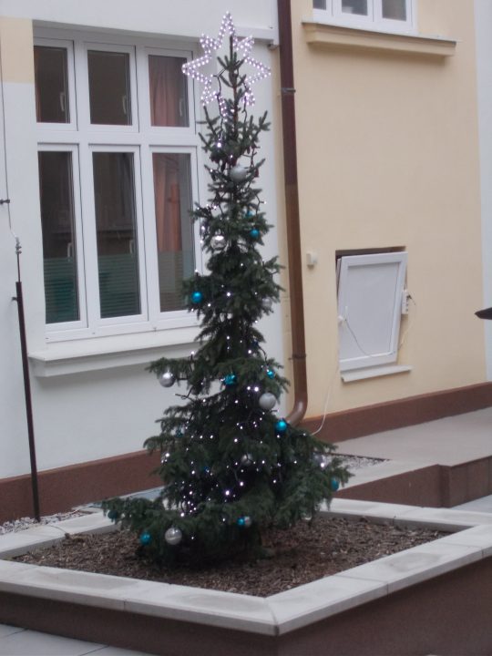 Rozsvícení vánočního stromku