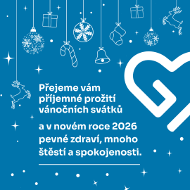 Přejeme Vám krásné Vánoce a šťastný nový rok.